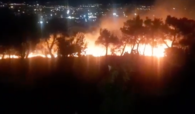Son Dakika! Balıkesir Çamlık’ta Korkutan Yangın! Çamlık’ta Alevler Yükseldi! Ekipler Seferber Oldu!