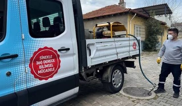Sinekler çoğalıyor, ilaçlama yetersiz kalıyor!