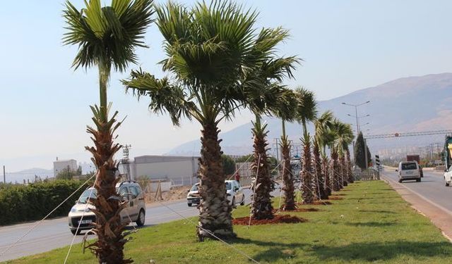 AK Parti'den Büyükşehir'e 258 Milyon Liralık Peyzaj Harcaması Soruları