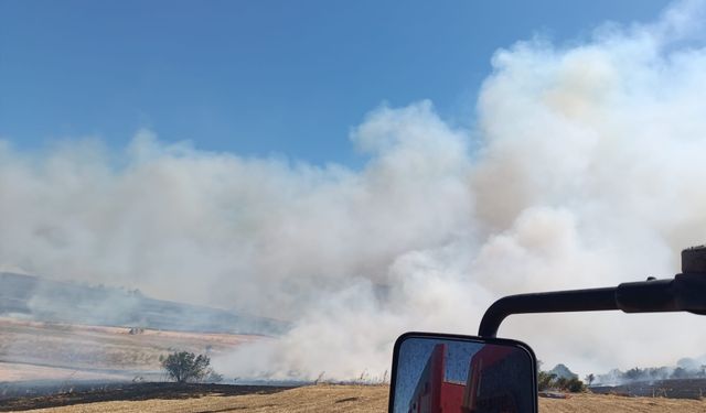 Balıkesir'de Korkutan Alevler, Rüzgarın Etkisiyle Ormana Sıçradı! Manyas'taki Yangından Son Dakika Gelişmesi!