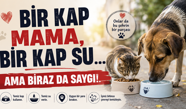 Bir kap mama, bir kap su, ama biraz da saygı!