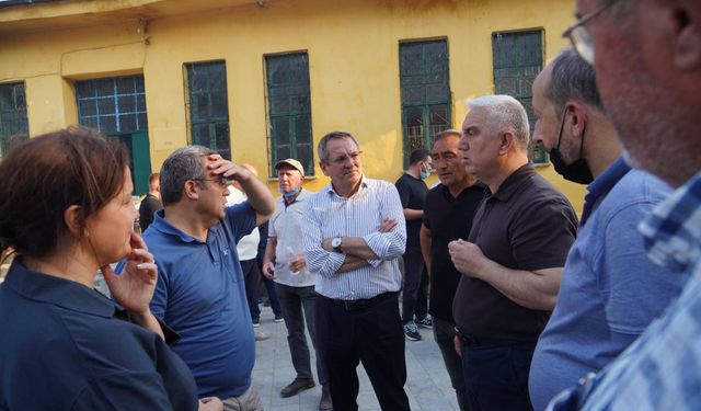 Ayvalık'taki Yangın Felaketinin Ardından Başkan Mesut Ergin Sahaya İndi: "Yaralarımızı Birlikte Saracağız!"