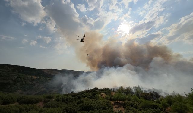 Manisa'da Korkutan Son Dakika Gelişmesi! Tarım Arazisinde Başlayan Yangın Ormana Sıçradı: Ekipler Seferber Oldu!