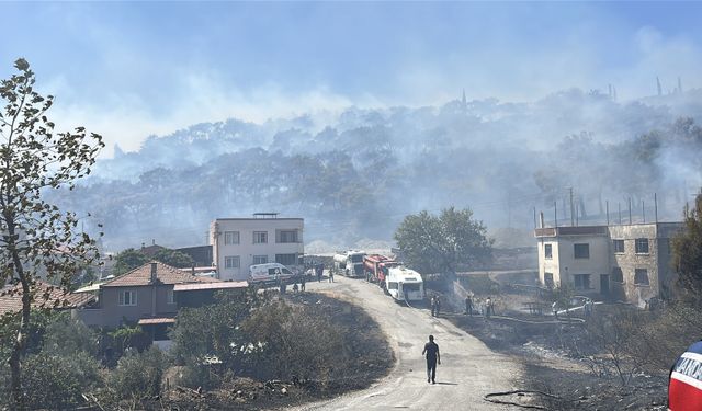 Edremit'teki orman yangınıyla ilgili son gelişme