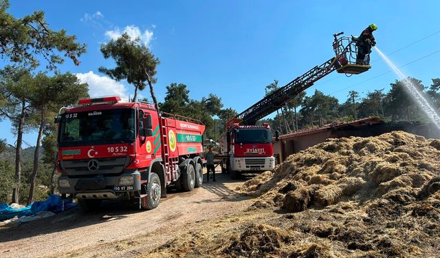 Balıkesir Dursunbey Çiftçi Mahallesi'nde Yangın: Samanlıktan Çıkan Alevler Ahıra Sıçradı!