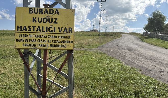 Ardahan’da Kuduz Alarmı! Bölge Karantinaya Alındı!
