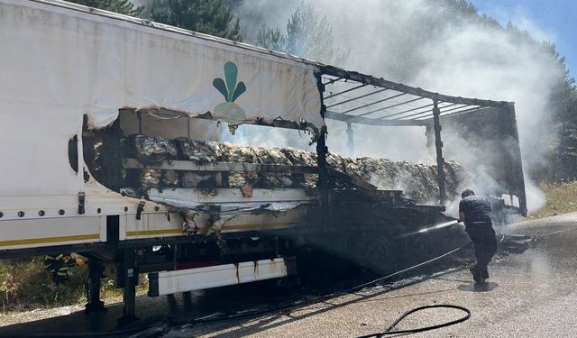 Bolu'da Seyir Halindeki Tır Yandı! Alevler Ağaçlara Sıçradı!