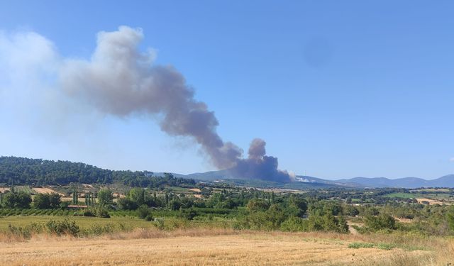 Son Dakika: Çanakkale Bayramiç’te Orman Yangını! Ekipler Havadan ve Karadan Müdahaleye Başladı!