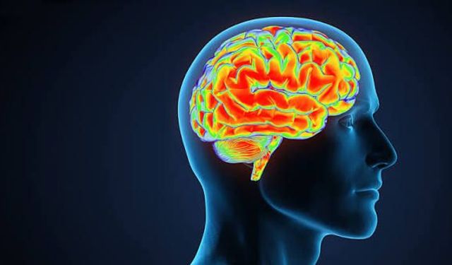 Bandırma Onyedi Eylül Üniversitesi'nden Devrim Niteliğinde Buluş! Alzheimer’ın Erken Tanısı İçin Yerli Biyosensör!