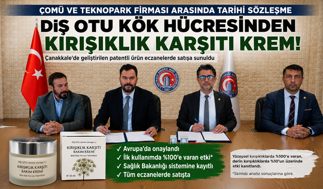 Bitki kök hücresiyle geliştirildi: Kırışıklık karşıtı krem için patent devri