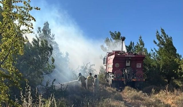 Balıkesir'de 5 Günde 16 Yangın: İhmal Felaketi Büyüttü