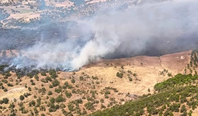 Balıkesir Sındırgı’daki Orman Yangınından Sevindiren Haber: Alevler Kontrol Altına Alındı!