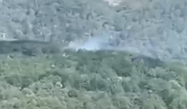 Edremit Narlı’da Orman Yangını: Hava ve Kara Ekipleri Teyakkuzda!