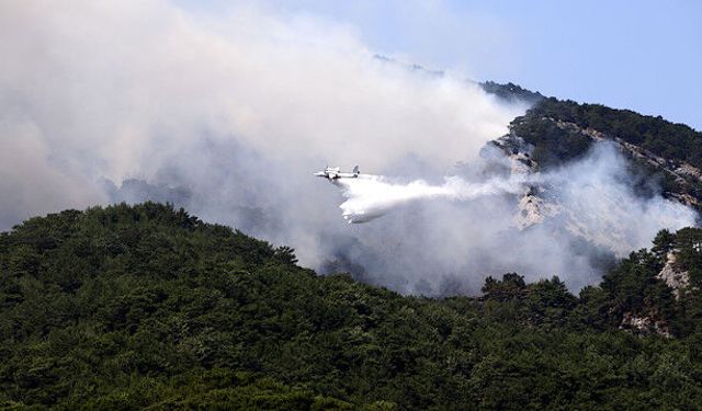 Kazdağları’nda Korkutan Yangın Büyümeden Kontrol Altına Alındı! Soğutma Sürüyor
