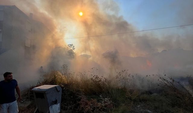 Ayvalık’ta Alevler Yükseldi! Altınova Mahallesi’nde Yangın Alarmı: İtfaiye Ekipleri Alevlere Hızla Müdahale Etti!