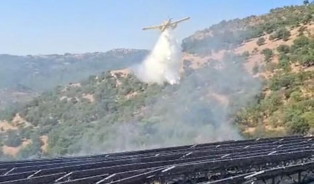 Altınova’da Korkutan Yangın! Güneş Santralinin Bulunduğu Alanda Alevler Yükseldi: Havadan ve Karadan Müdahale