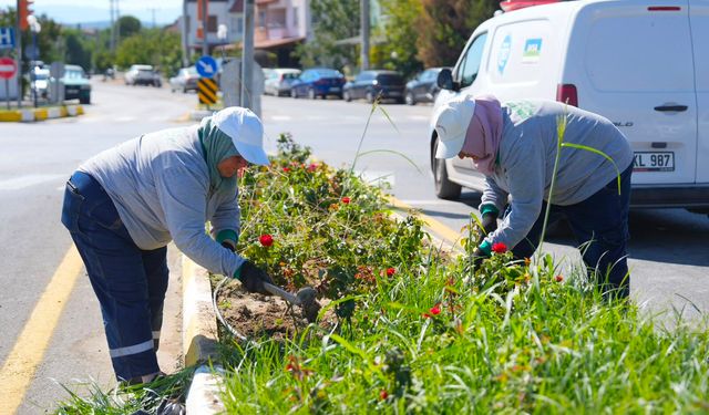Burhaniye Belediyesi Park ve Bahçeler Ekiplerinden İlçe Genelinde Bakım Operasyonu: Hangi Mahallede Ne Yapıldı?