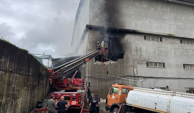 Rize’de Çay Fabrikasının Deposunda Yangın! Ekiplerin Müdahalesiyle Söndürüldü