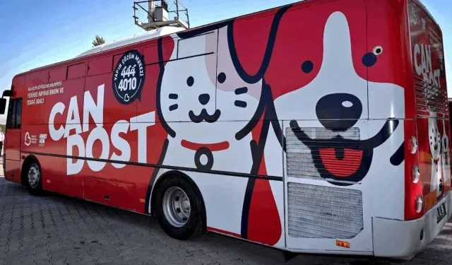 Burhaniye'de Sokak Hayvanları İçin Seferberlik! "Can Dost" Aracı Yarın Meydanda Olacak!