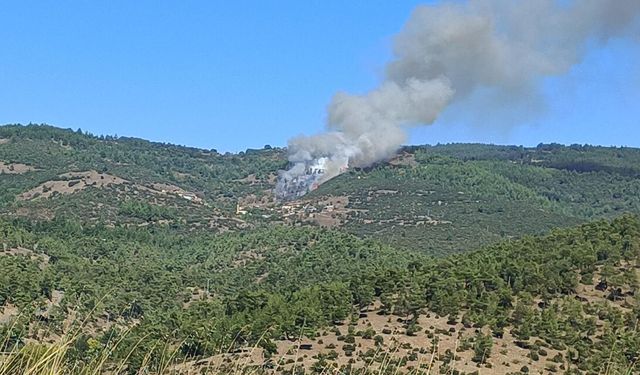 Son Dakika Bursa'da Orman Yangını Alevler Alevler Büyümeden Söndürüldü! Piribeyler'de Soğutma Çalışması Sürüyor!