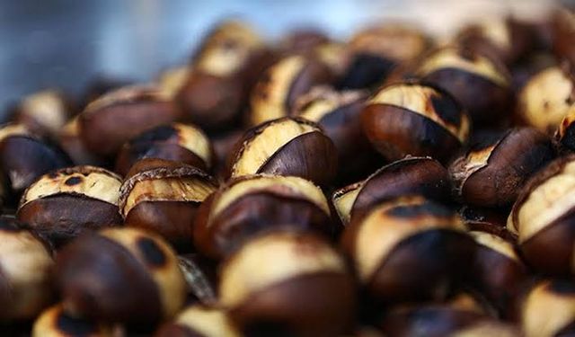 Dünyanın En İyi Kestaneleri Açıklandı: Aydın Kestanesi 3,9 Puanla İkinci Sıraya Yerleşerek Dikkat Çekti!