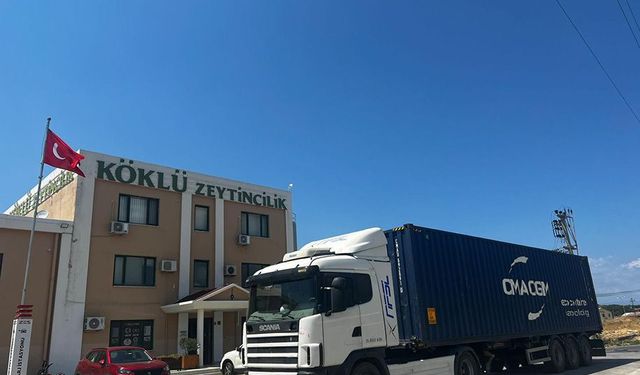 Ayvalık Zeytinyağı Paris Yolcusu! Köklü Zeytincilik İhracatta Hedef Büyüttü