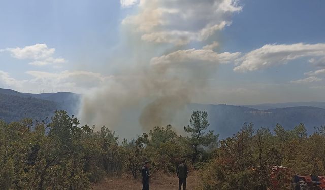 Savaştepe’de Korkutan Orman Yangını! Dikmeler Mahallesi’nde Alevler Yükseldi: Ekipler Seferber Oldu!