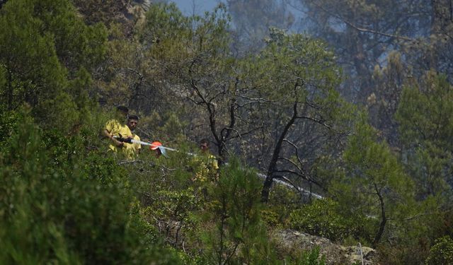 Şapçı'daki orman yangınıyla ilgili son gelişme