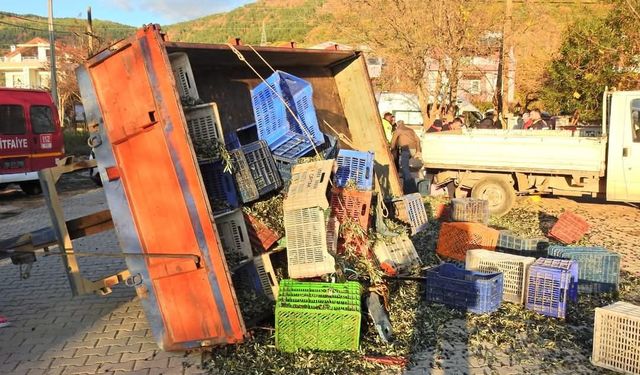 Balıkesir’de zeytin işçilerini taşıyan traktör römorku devrildi! 5 kişi yaralandı!