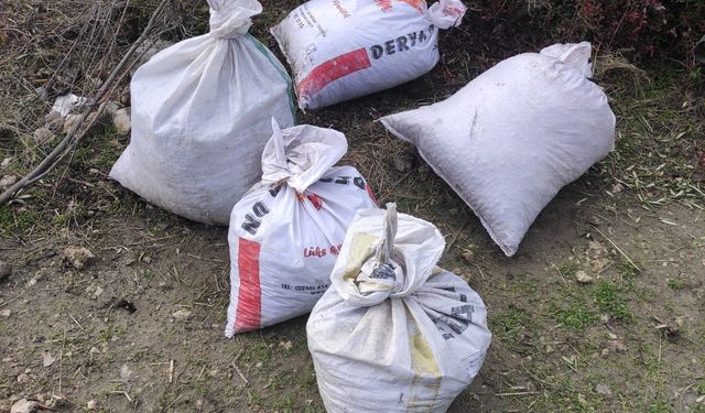 Zeytin hırsızlarıyla amansız mücadele