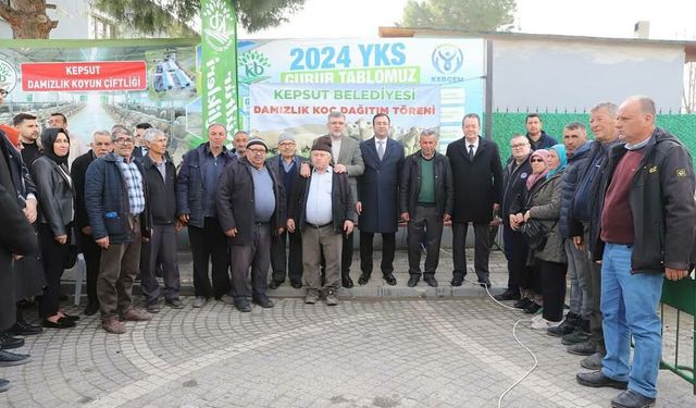 Kepsut Belediyesi’nden Hayvancılığa Destek: Damızlık Koç Hibe Programı Sürüyor