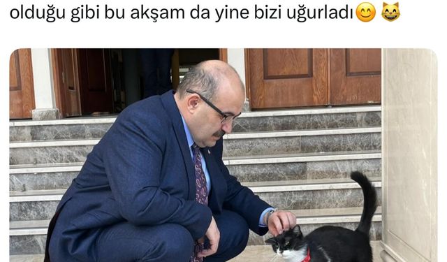 Vali İsmail Ustaoğlu ve Kedisi Kezban Sosyal Medyayı Isıttı