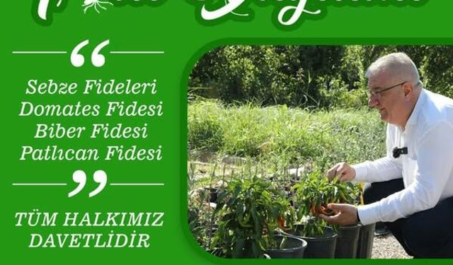 Edremit Belediyesi'nden Ücretsiz Sebze Fidesi Dağıtımı