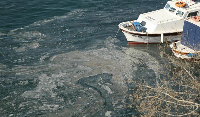 Müsilaj Gün Yüzüne Çıktı! Çanakkale Kıyıları Müsilajla Kaplandı!
