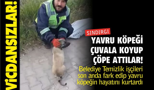 Sındırgı’da Çöpe Atılan Köpek Son Anda Kurtarıldı! Vicdansızlık Kamerada