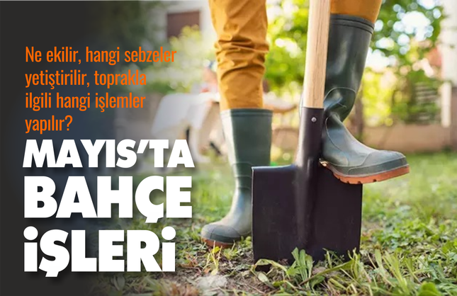 Mayıs Ayında Bahçe İşleri