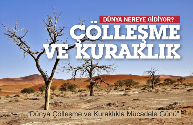 Çölleşme ve Kuraklık: Sessiz Tehlikenin Eşiğindeyiz