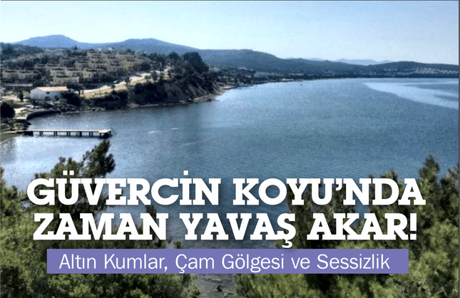 Altın Kumlar, Çam Gölgesi ve Sessizlik: Güvercin Koyu’nda Zaman Yavaş Akar