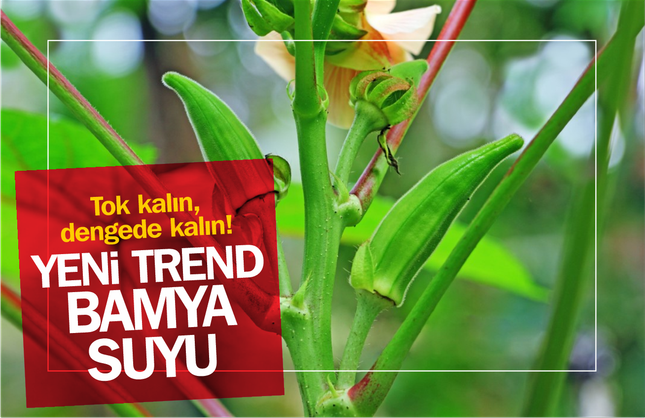"Zayıflamanın Yeni Yıldızı: Bamya Suyu Mucizesi!"