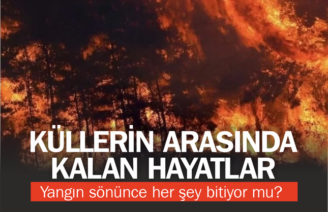 Küllerin ardında kalan hayatlar