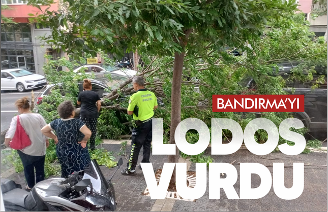Lodos Bandırma’yı Vurdu: Caddelerde Ağaçlar Kökünden Söküldü