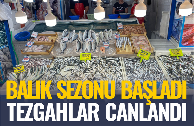 Sezon Açıldı: Balık Tezgahları Canlandı