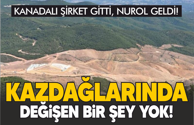 Kanadalı şirket gitti, TUMAD geldi... Kazdağları'nda değişen bir şey yok!