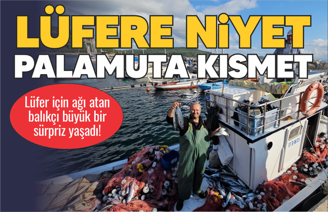 Lüfere niyet palamuta kısmet!