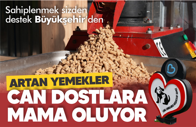 Büyükşehir, can dostların mamasını kendi üretiyor