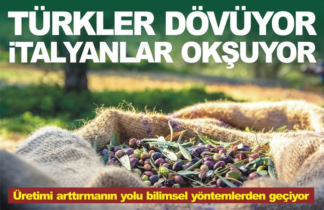 Türkler döverek, İtalyanlar okşayarak...