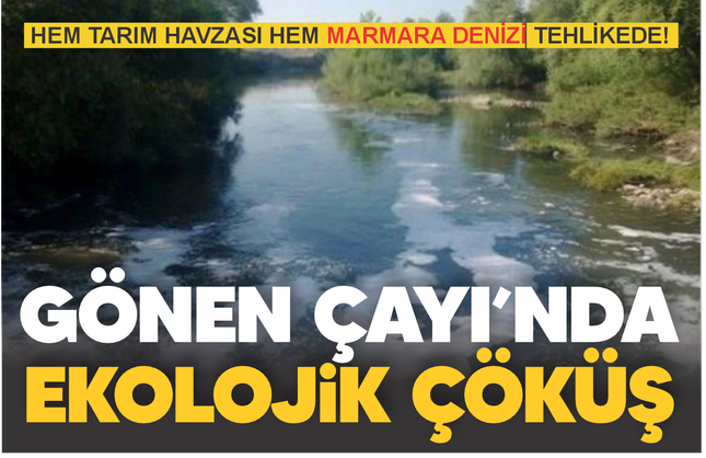 CHP’li Serkan Sarı: “Gönen Çayı Can Çekişiyor, Bölge Zehirleniyor!”