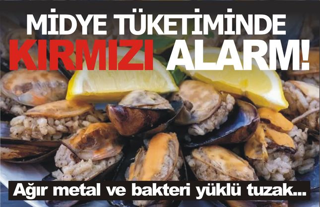 Midye tüketiminde kırmızı alarm!