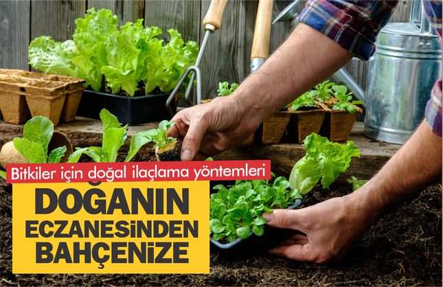 Doğanın eczanesinden bahçenize