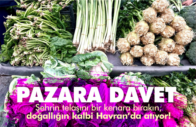 Şehrin telaşını bir kenara bırakın; doğallığın kalbi Havran’da atıyor!